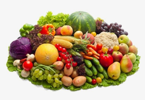 垃圾分類后，濕垃圾怎么處理好?